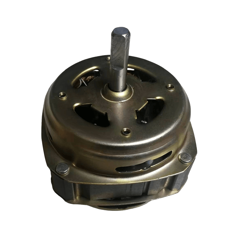 Motors For Food Processing Machinery