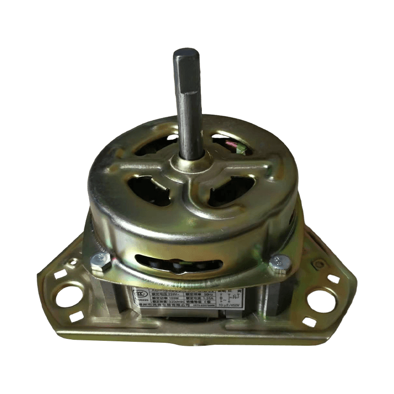 XD Series Washing Machine And Spin Dryer Motors